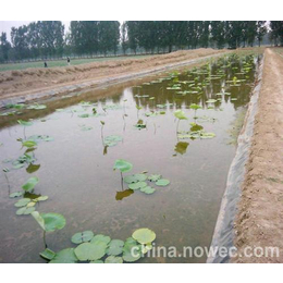 泰安藕池土工膜价格,藕池土工膜0.6mm,沧州土工膜