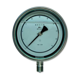 各种型号材质精度耐震压力表可定制YTN-100