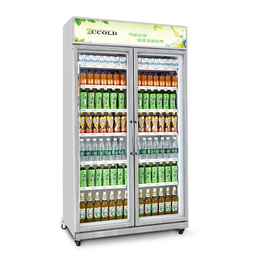 西科电器(图)_便利店用冰柜展示柜定做_信宜冰柜展示柜定做
