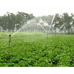 滴灌带公司、大丰收灌溉(图)、滴灌带规格