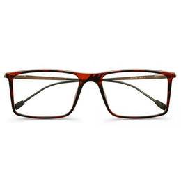 广东广州塑钢眼镜架缩略图