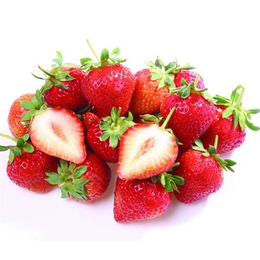 南阳草莓_南阳草莓基地_南阳大山生态园有机草莓熟了