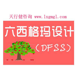 江苏六西格玛设计培训DFSS咨询公司项目分析