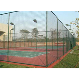云南球场防护网|球场防护网厂家(在线咨询)|球场防护网加工