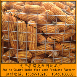 电焊网片丨玉米网丨圈玉米网丨包塑玉米网丨镀锌玉米网丨玉米网厂