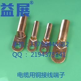 供应厂家* 铜鼻子价格 出口铜铝接线端子 方头接线端头 