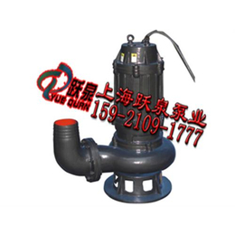 100WQ60-9-4污水潜水泵|排沙排污泵