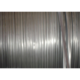 厂家*301 304不锈钢异型线 加工不锈钢压扁线 