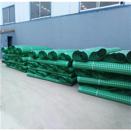 通辽排水板|绿化排水板|久邦建材