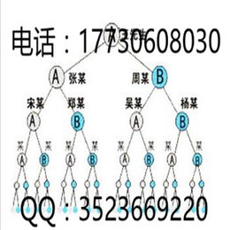 西安双轨*软件系统作用管理