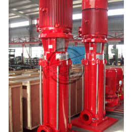 大西洋泵业 立式消防泵 