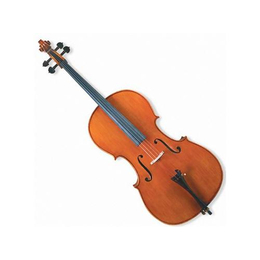 学大提琴|大提琴培训|哆来咪乐器