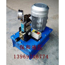 泰安电动液压泵_保和液压(在线咨询)_250MPA电动液压泵缩略图