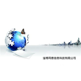 济宁网站设计、企业网站设计推广、淄博网泰科技