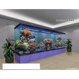 东莞****承接大型水族工程海鲜池设计制作定做建造维修