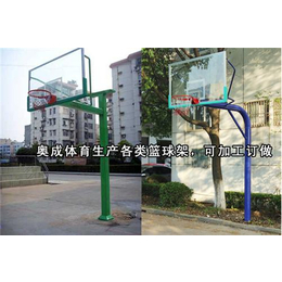 篮球架,奥成体育(在线咨询),小学生/青少年篮球架高度