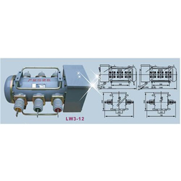 持久电气,LW3-10****断路器,LW3-10