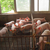 猪床网猪地板网鹌鹑笼兔笼鸽笼鸡笼子母兔笼商品兔笼缩略图2