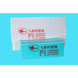 钙塑箱|飞燕塑胶制品(认证商家)|钙塑箱生产流程