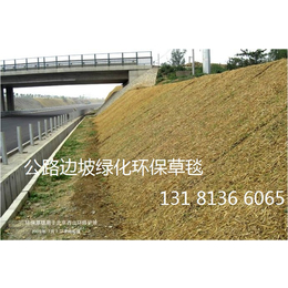 麻椰固土毯 *冲生物毯 北京绿化植被毯 草籽植生毯