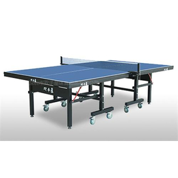 陕西乒乓球桌厂、双子星品牌、乒乓球桌生产厂家