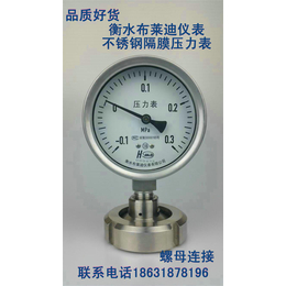 布莱迪全规格卫生型隔膜压力表不锈钢材质YTP-100ML