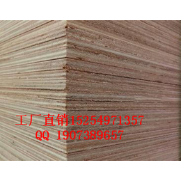 家具板报价 桉木芯多层板 实木多层板价格