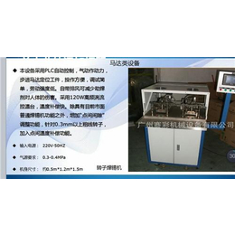 深圳转子焊锡机|广州赛彩|转子焊锡机图纸