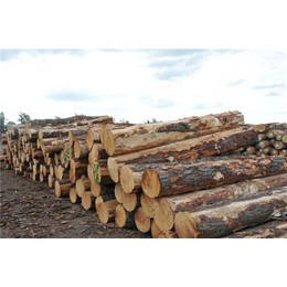 万达木业(图)、樟子松木材加工板材、木材加工