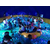 儿童乐园鲸鱼岛海洋球租赁萌萌哒的蓝色大鲸出租缩略图1