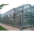 玻璃智能温室 V12-FH型Venlo式3屋脊温室大棚缩略图4