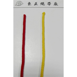 东纺绳带厂(图)、绳带订购价、绳带