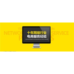 网络公司、网站网络公司、台州乐环(多图)