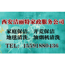 洁丽特家政(多图),西安东郊油烟机清洗