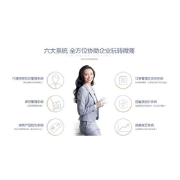微商系统,深圳图赢(在线咨询),微商系统管理缩略图