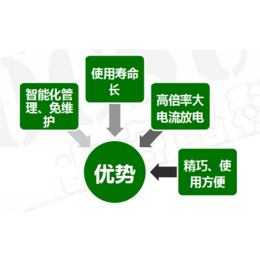 安徽锂电池系统_电厂储能锂电池系统_善豹能源科技