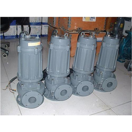 污水泵广州排污泵安装销售(图)、广州排污泵维修销售服务、博山机电