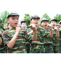 武汉军事夏令营|军拓教育(在线咨询)|少儿军事夏令营