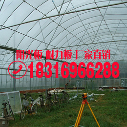 阳光板厂家批发价格供应农业温室大棚8mm阳光板缩略图