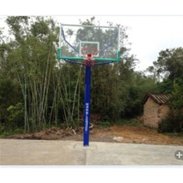 峰荣体育器材(图)、广西篮球架、篮球架