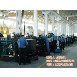武汉静音发电机供应,500kw发电机公司,洪山发电机