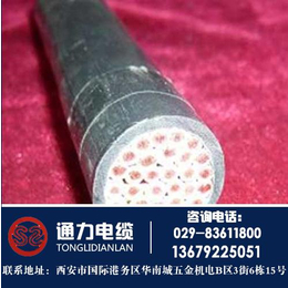 电线电缆_通力电缆(在线咨询)_黄龙县电线电缆价格缩略图