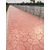 压花地坪价格-压模地面材料-彩色水泥道路-沧州园林道路厂家缩略图4