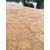 压花地坪价格-压模地面材料-彩色水泥道路-沧州园林道路厂家缩略图2