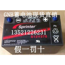 原装美国GNB蓄电池S12V300厂家