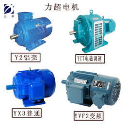 力超电机厂供应三相异步电机YX3-160M1-2--11kw