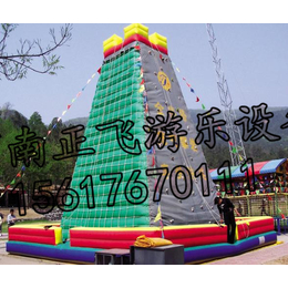 河南正飞淘气城堡蹦蹦床大型滑梯气模玩具室外广场城堡游乐园.