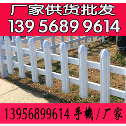 陕西西安PVC护栏型材 安徽pvc绿化草坪围栏