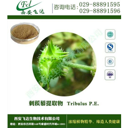 刺蒺藜皂甙,刺蒺藜皂甙厂家*,飞达生物(多图)