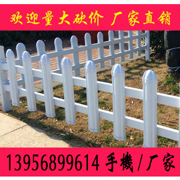 广西南宁PVC塑钢护栏厂家 梧州PVC草坪护栏厂家PVC护栏